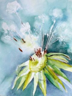 Pusteblume